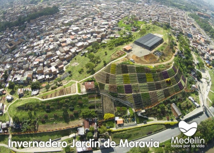 Programa Invernadero Jardín de Moravia